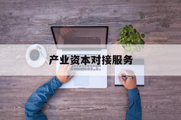 产业资本对接服务(产业资本对接服务包括哪些)阳江市